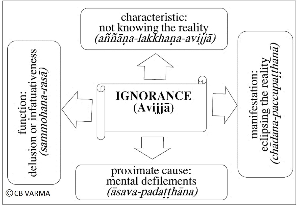 Buddhist Analysis of Mind by Chandra B Varma (HARD BOUND) - Image 2